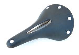 Brooks Cambium Saddle