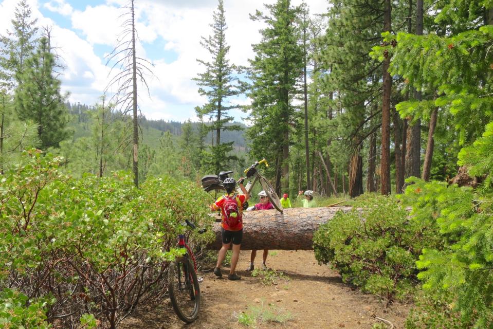 Lifting bikes over a fallen tree
