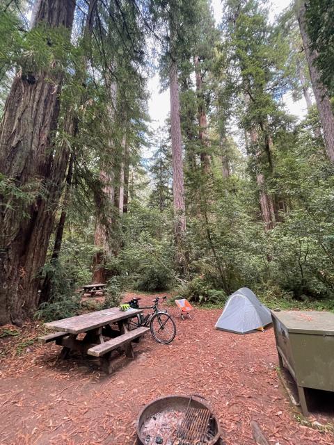Camping in the Redwoods