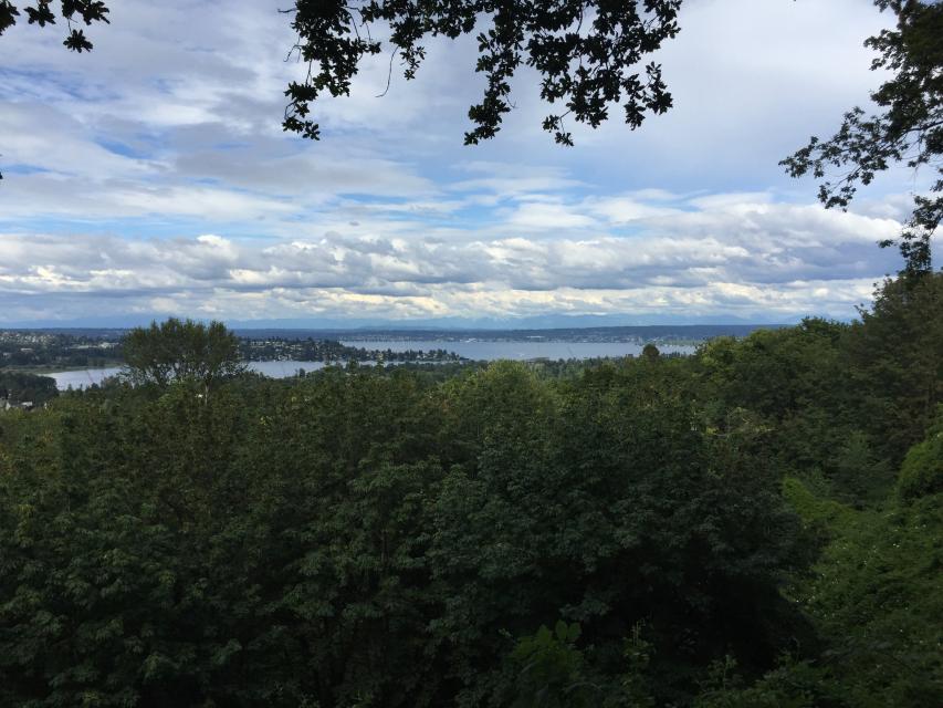 View from a hill in Seattle