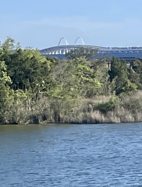 Looking back at the Pensacola bridge