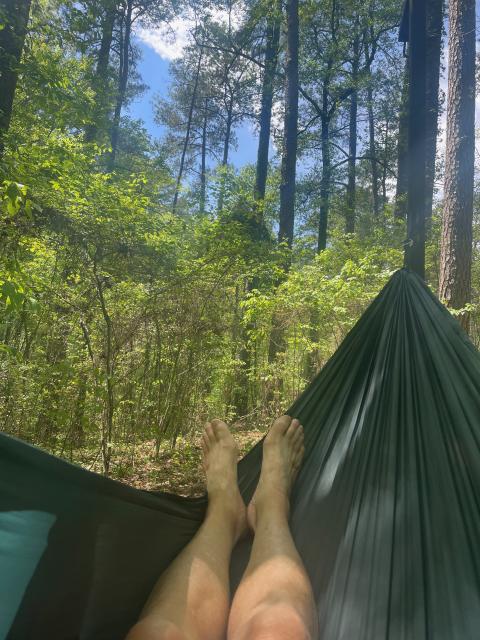 The view from my hammock