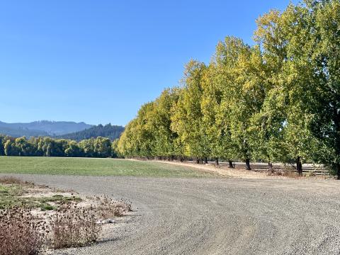 Gravel road and fall colors